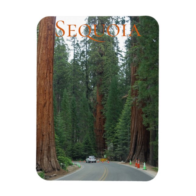 Sequoia/Kung Canyon National Park Magnet (Vertikal)
