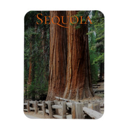 Sequoia/Kung Canyon National Park Magnet