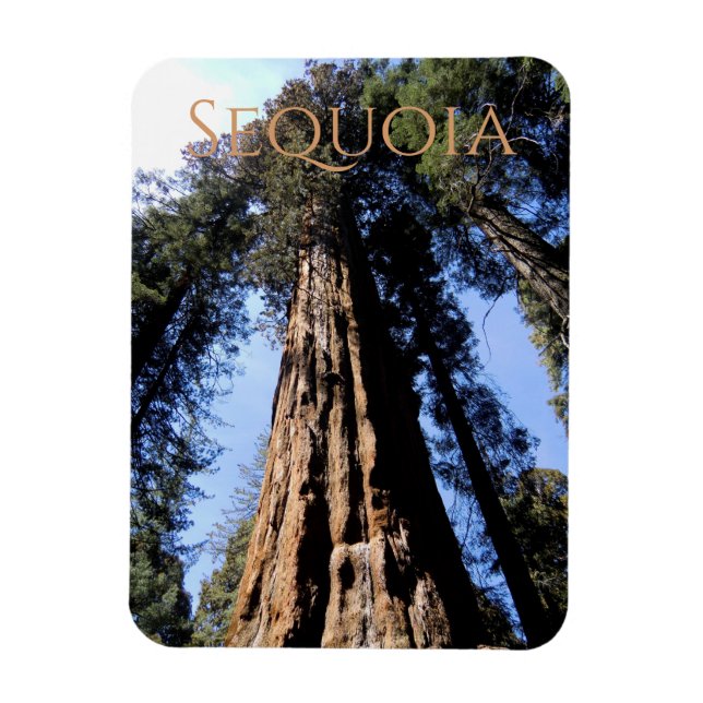 Sequoia/Kung Canyon National Park Magnet (Vertikal)