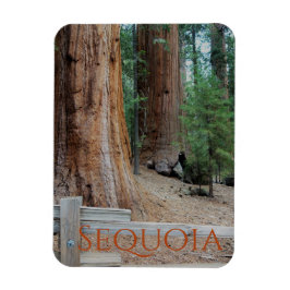 Sequoia/Kung Canyon National Park Magnet