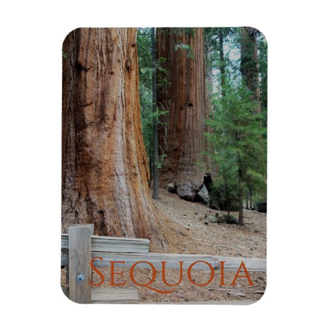 Sequoia/Kung Canyon National Park Magnet (Vertikal)