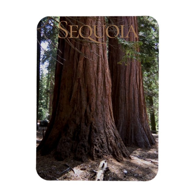 Sequoia Kung Canyon National Park Magnet (Vertikal)