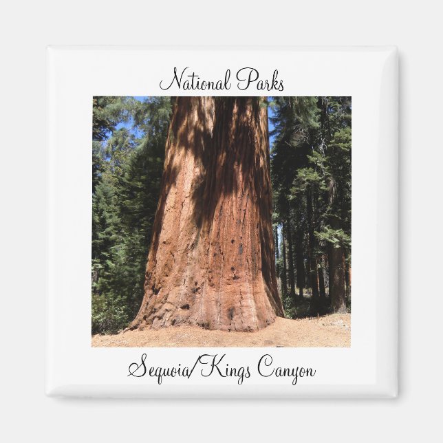 Sequoia Kung Canyon nationalpark Magnet (Framsidan)