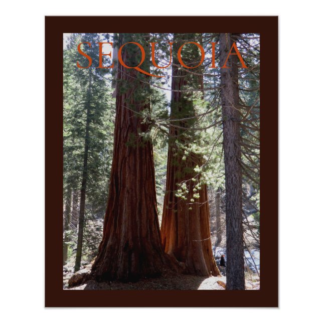 Sequoia/Kung Canyon Poster (Framsidan)