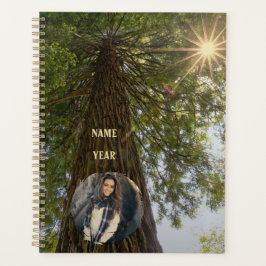 Sequoia med solsprängningsdatum och foto Personlig