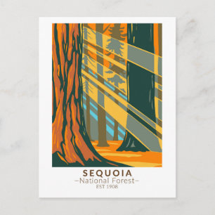 Sequoia National Forest Kalifornien Vintage Vykort