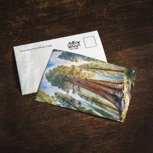 Sequoia National Park California Postcard Inbjudningar