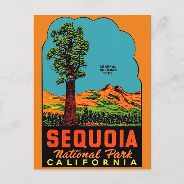 Sequoia National Park California Postcard Vykort (Framsida)