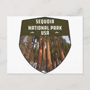 Sequoia National Park California sekvoia träd Vykort