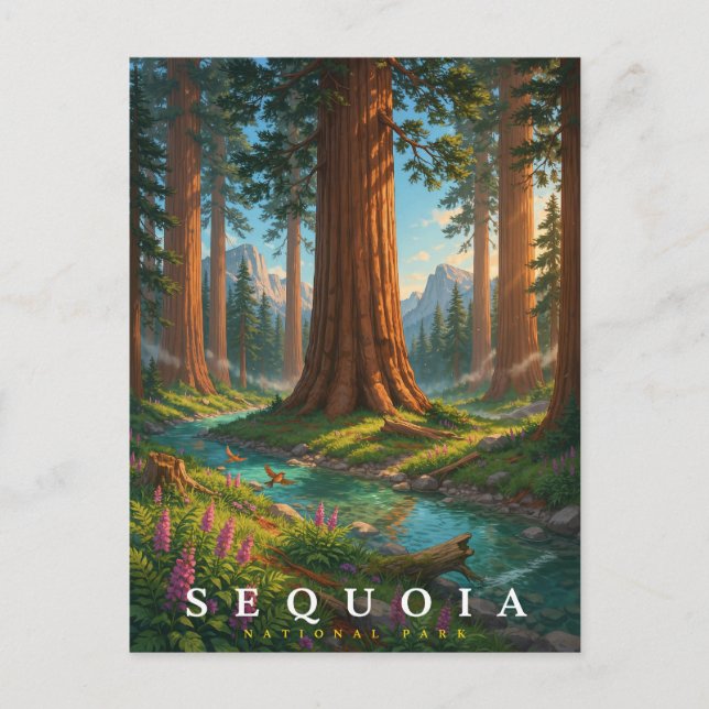 Sequoia National Park California Skog Resa Vykort (Framsida)