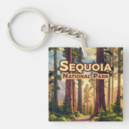 Sequoia National Park California Träd Retro