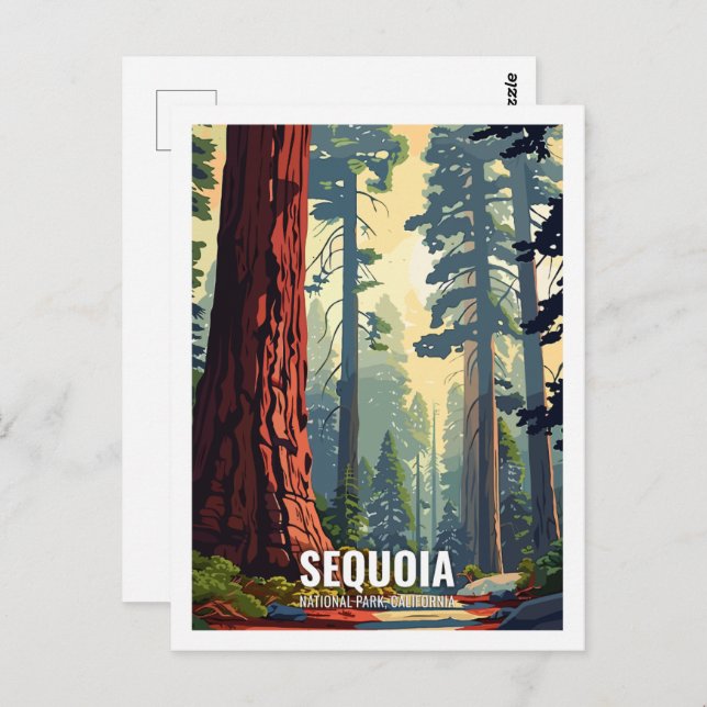 Sequoia National Park California USA Vykort (Fram/baksida)
