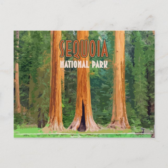 Sequoia National Park California Vintage Vykort (Framsida)