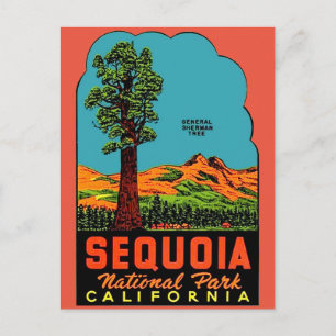 Sequoia National Park California vykort
