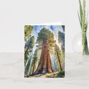 Sequoia National Park California Watercolor Kort