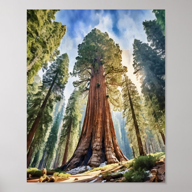 Sequoia National Park California Watercolor Poster (Framsidan)