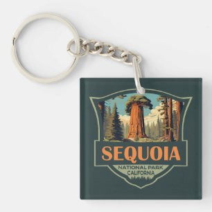 Sequoia National Park Illustration Retro