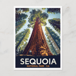 Sequoia National Park Jätte Träd Vykort