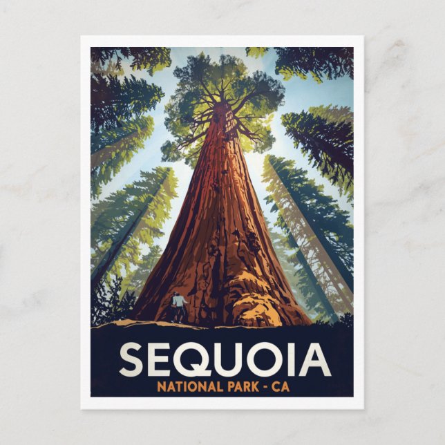 Sequoia National Park Jätte Träd Vykort (Framsida)