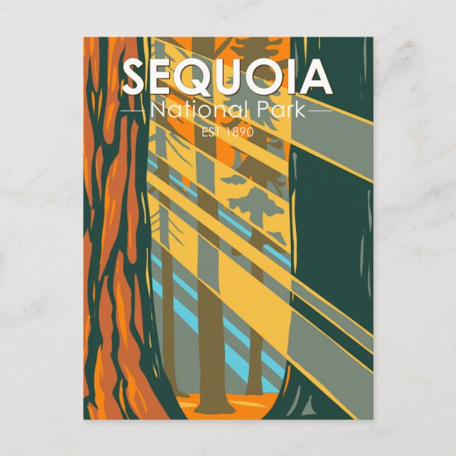 Sequoia National Park Jättelika Sequoia Träd Vykort (Framsida)