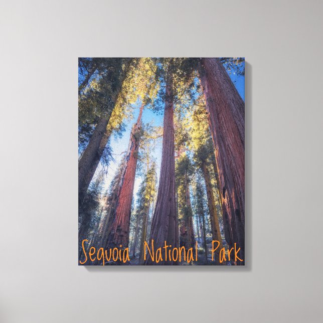 Sequoia National Park Kalifornien Canvastryck (Framsida)