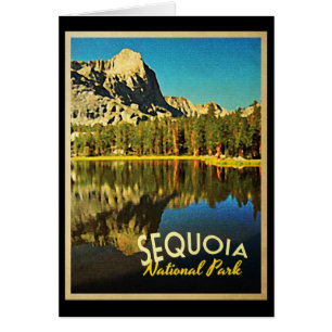 Sequoia National Park Kalifornien Hälsningskort