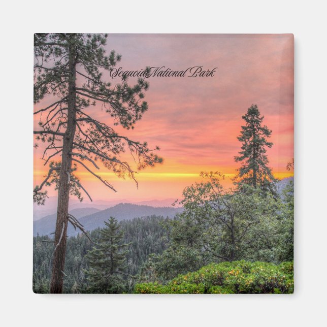 Sequoia National Park, Kalifornien Magnet (Framsidan)