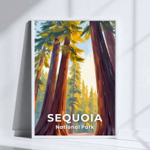 Sequoia National Park | Kalifornien Resa