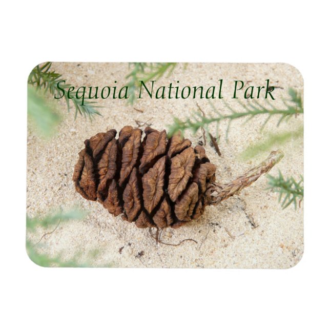 Sequoia National Park Magnet (Horisontell)