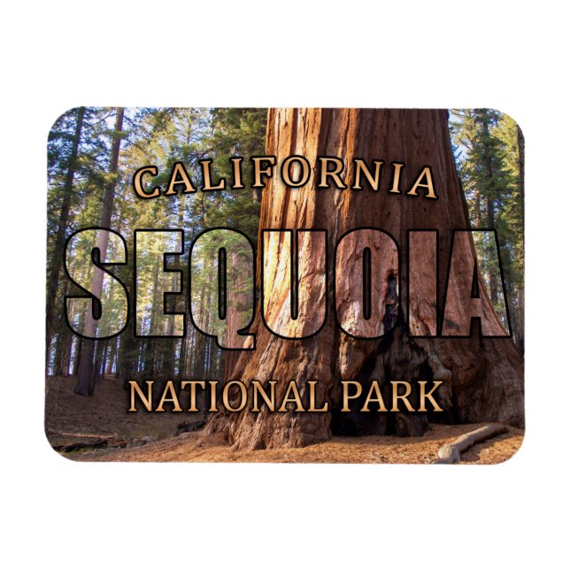 Sequoia National Park Magnet (Horisontell)