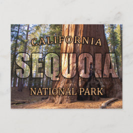 Sequoia National Park Postcards Vykort