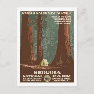 Sequoia National Park USA Vintage resor Poster Vykort