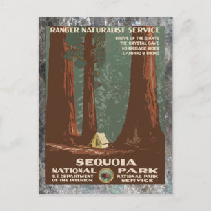 Sequoia National ParkVintage-resa Vykort