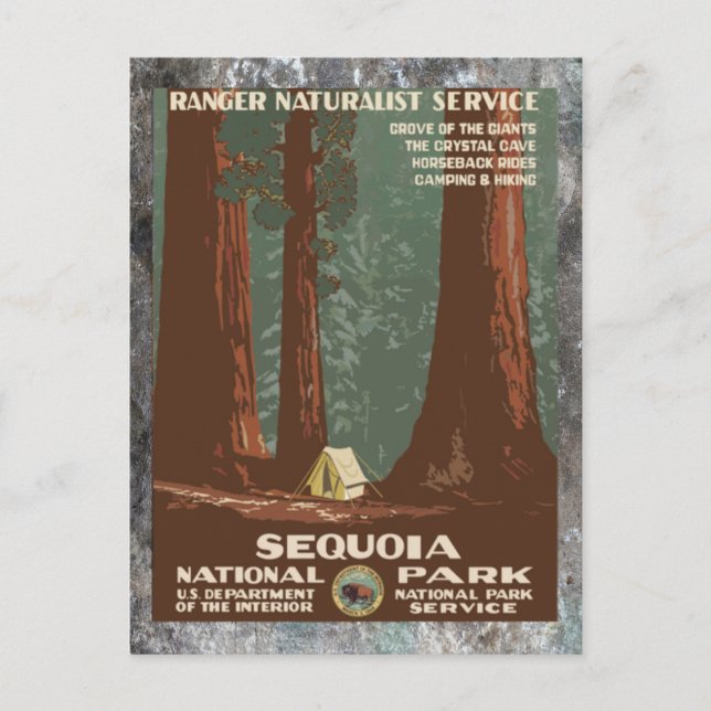 Sequoia National       ParkVintage-resa Vykort (Framsida)