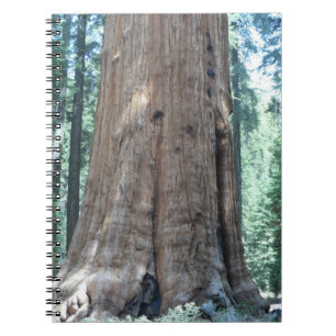 Sequoia nationalpark anteckningsbok