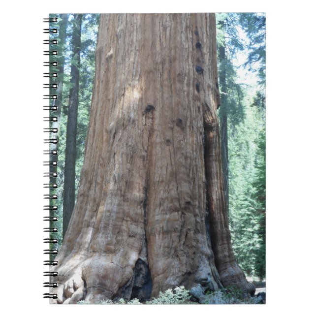 Sequoia nationalpark anteckningsbok (Framsidan)
