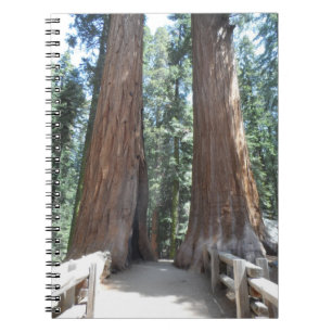 Sequoia nationalpark anteckningsbok