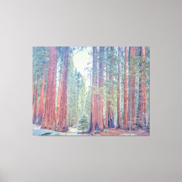 Sequoia nationalpark canvastryck