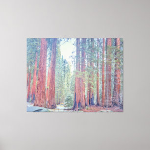 Sequoia nationalpark canvastryck