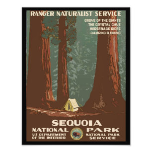 Sequoia nationalpark fototryck