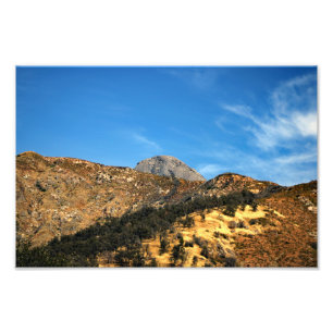 Sequoia nationalpark fototryck