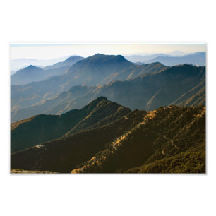 Sequoia nationalpark fototryck