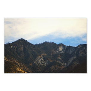 Sequoia nationalpark fototryck