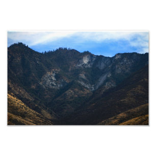 Sequoia nationalpark fototryck