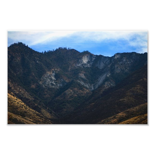 Sequoia nationalpark fototryck (Framsidan)