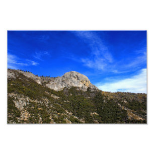 Sequoia nationalpark fototryck