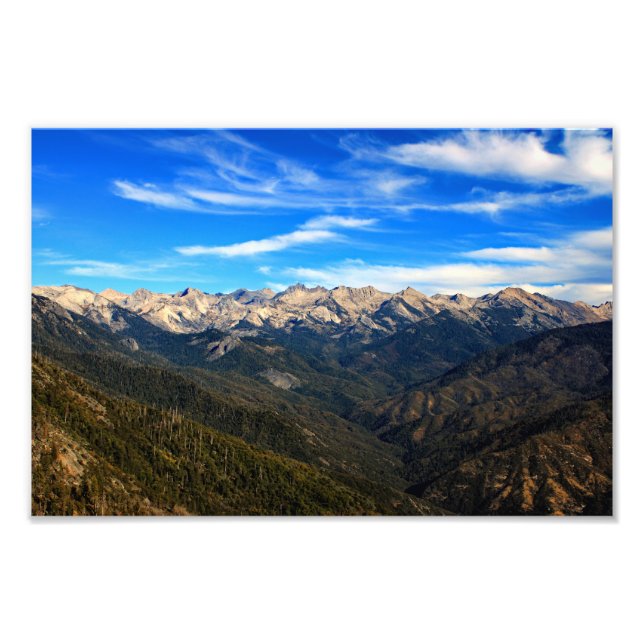 Sequoia nationalpark fototryck (Framsidan)