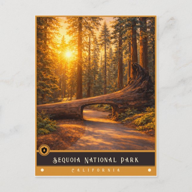 Sequoia nationalpark | Gammal vykort (Framsida)