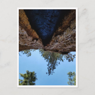 Sequoia nationalpark: Hund dagar Vykort