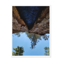 Sequoia nationalpark: Hund dagar